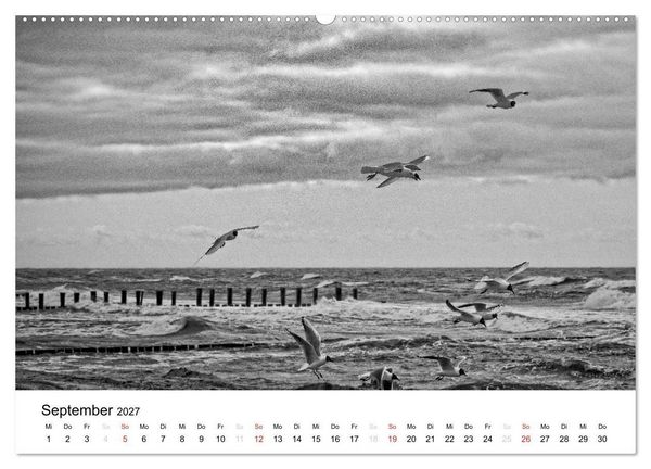Produktbild: Ostseebad Zingst - Impressionen in Schwarz-Wei&szlig; (Wandkalender 2027 DIN A2 quer), CALVENDO Monatskalender