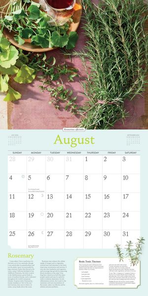 Produktbild: Gladstar, R: Rosemary Gladstar's Herbs Wall Calendar 2024