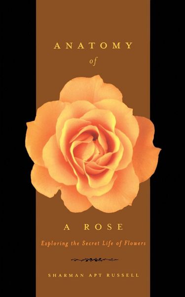 Produktbild: Anatomy of a Rose