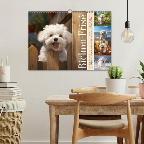 Produktbild: Bichon fris&eacute;, wei&szlig;e H&uuml;ndchen mit lockigem Haar (Wandkalender 2026 DIN A3 quer), CALVENDO Monatskalender