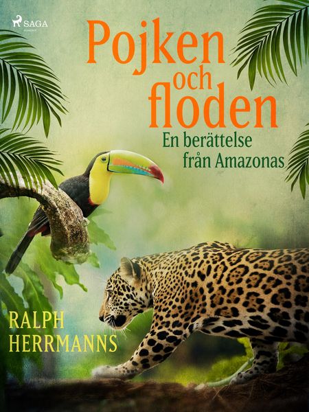 Produktbild: Pojken och floden - en ber&auml;ttelse fr&aring;n Amazonas