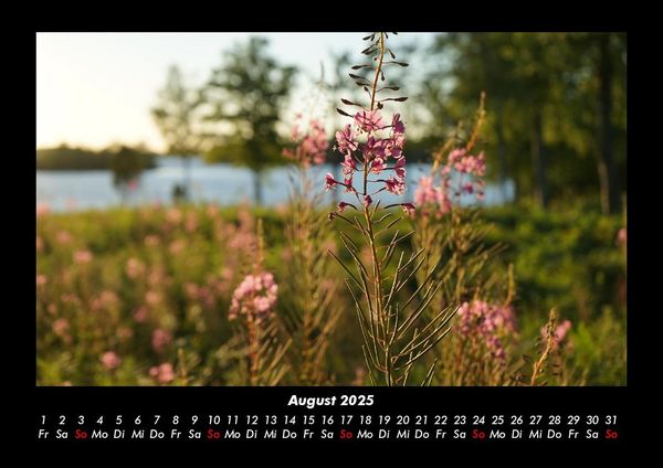 Produktbild: Blumentraum 2025 Fotokalender DIN A3