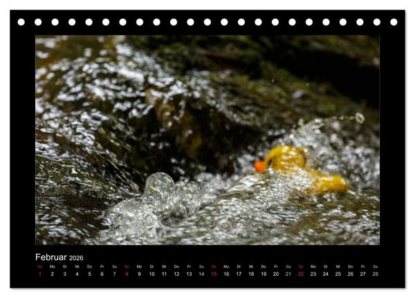 Produktbild: Enten-Rennen (Tischkalender 2026 DIN A5 quer), CALVENDO Monatskalender