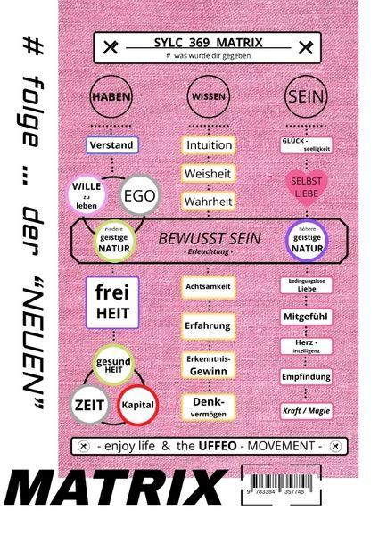 Produktbild: SYLC 369 MATRIX : Der WERTE - Kompass / Version : S