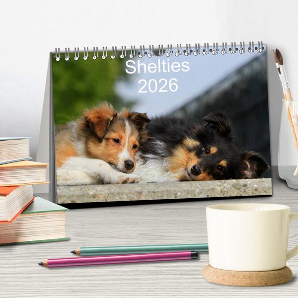 Produktbild: Shelties 2026 (Tischkalender 2026 DIN A5 quer), CALVENDO Monatskalender