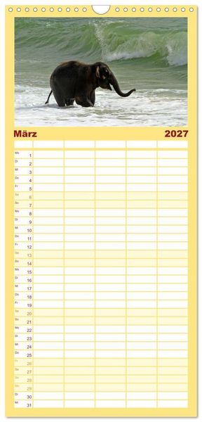 Produktbild: Familienplaner 2027 - Elefanten. Spa&szlig; am Wasser mit 5 Spalten (Wandkalender, 21 x 45 cm) CALVENDO