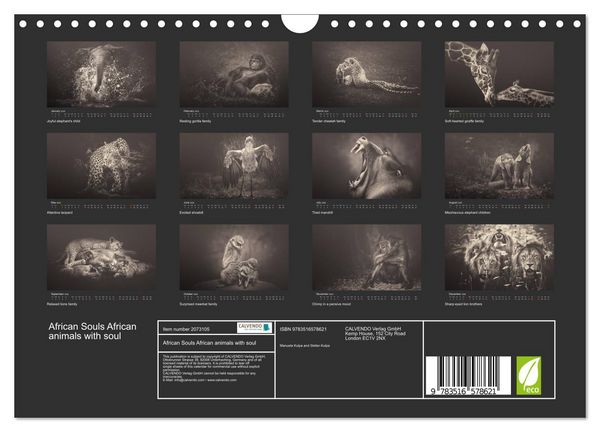 Produktbild: African Souls African animals with soul (Wall Calendar 2026 DIN A4 landscape), CALVENDO 12 Month Wall Calendar