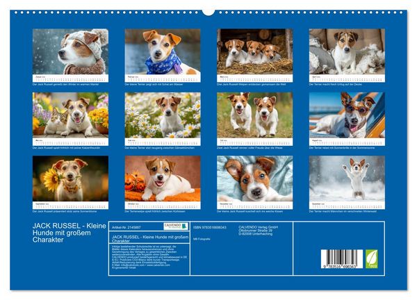 Produktbild: JACK RUSSEL - Kleine Hunde mit gro&szlig;em Charakter (hochwertiger Premium Wandkalender 2026 DIN A2 quer), Kunstdruck in Hochglanz