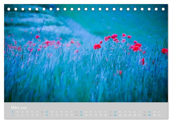 Produktbild: Zauber des Mohns (Tischkalender 2026 DIN A5 quer), CALVENDO Monatskalender