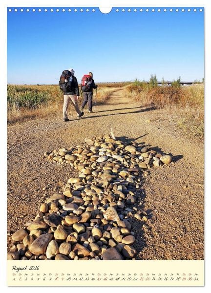 Produktbild: Buen Camino - Auf dem Jakobsweg - Camino Franc&eacute;s (Wandkalender 2026 DIN A3 hoch), CALVENDO Monatskalender