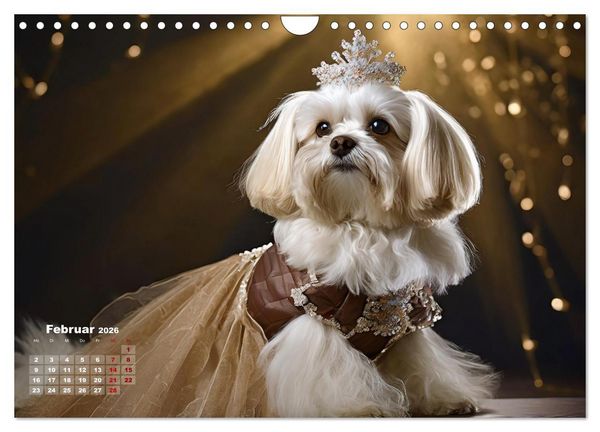 Produktbild: Kleine Hunde - Gro&szlig;e Diven (Wandkalender 2026 DIN A4 quer), CALVENDO Monatskalender