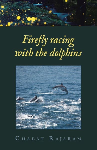 Produktbild: Firefly racing with the dolphins