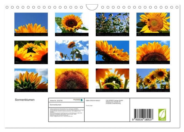 Produktbild: Sonnenblumen (Wandkalender 2026 DIN A4 quer), CALVENDO Monatskalender