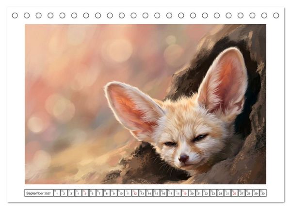 Produktbild: Fenneks - Neugierige Momente in der W&uuml;ste (Tischkalender 2027 DIN A5 quer), CALVENDO Monatskalender