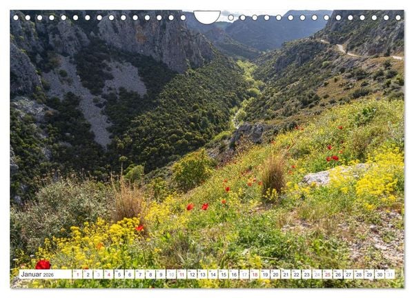 Produktbild: Griechenland - Eub&ouml;a - Evia (Wandkalender 2026 DIN A4 quer), CALVENDO Monatskalender