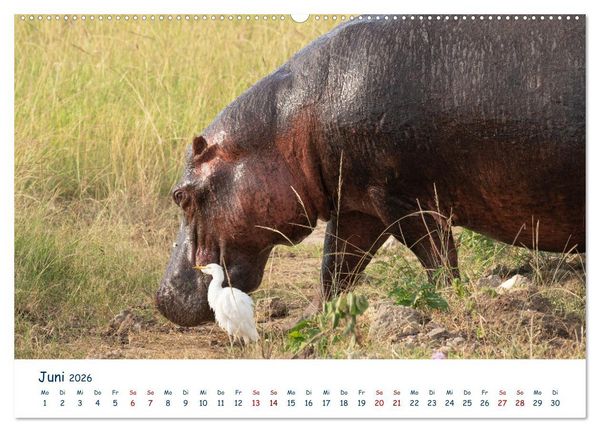Produktbild: Fernweh Uganda - Natursch&ouml;nheit Ostafrikas (hochwertiger Premium Wandkalender 2026 DIN A2 quer), Kunstdruck in Hochglanz