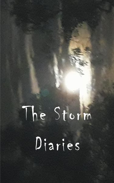 Produktbild: The Storm Diaries