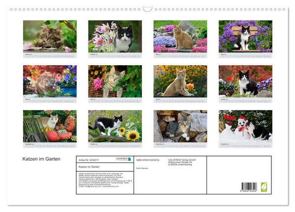 Produktbild: Katzen im Garten (Wandkalender 2026 DIN A2 quer), CALVENDO Monatskalender