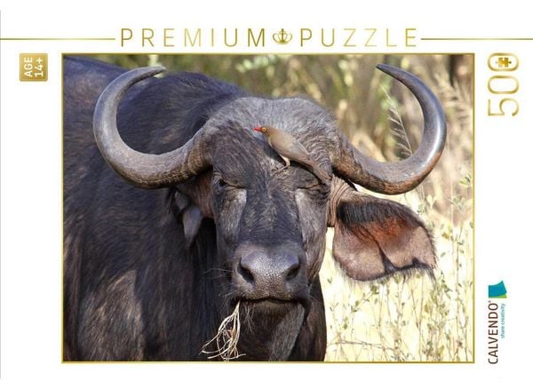 CALVENDO Puzzle Wasserbüffel, Kenia | 500 Teile Lege-Größe 48 × 36 cm Foto-Puzzle für Erwachsene