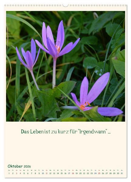 Produktbild: Mit Blumen durchs Jahr (hochwertiger Premium Wandkalender 2026 DIN A2 hoch), Kunstdruck in Hochglanz