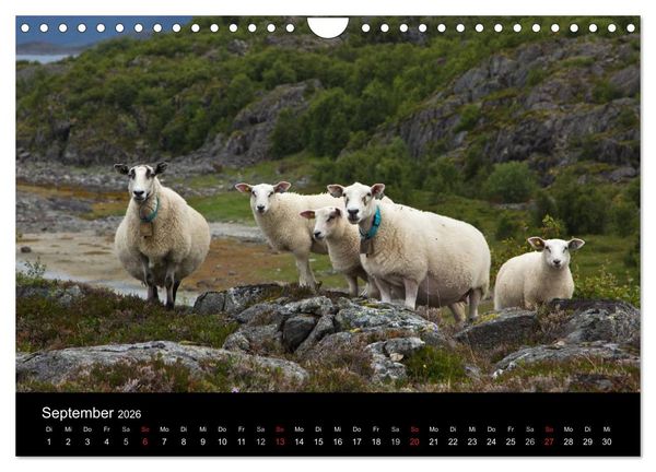 Produktbild: Norwegen - Faszination des Nordens (Wandkalender 2026 DIN A4 quer), CALVENDO Monatskalender