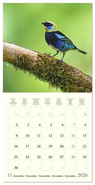 Produktbild: Royaume de nature Costa Rica (Calendrier mural carr&eacute; 2026 30x30 cm) Calendrier double avec une page pour vos prises de notes