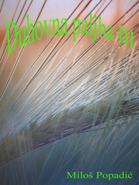 Produktbild: Duhovna paljba III