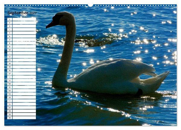 Produktbild: Lazise und Umgebung (hochwertiger Premium Wandkalender 2027 DIN A2 quer), Kunstdruck in Hochglanz