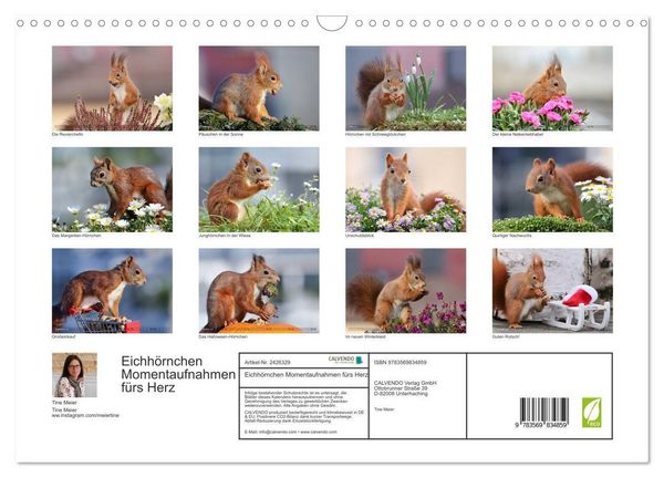Produktbild: Eichh&ouml;rnchen Momentaufnahmen f&uuml;rs Herz (Wandkalender 2027 DIN A3 quer), CALVENDO Monatskalender