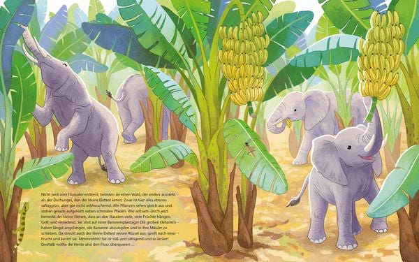 Produktbild: Der kleine Waldelefant - Zu Hause in Afrika