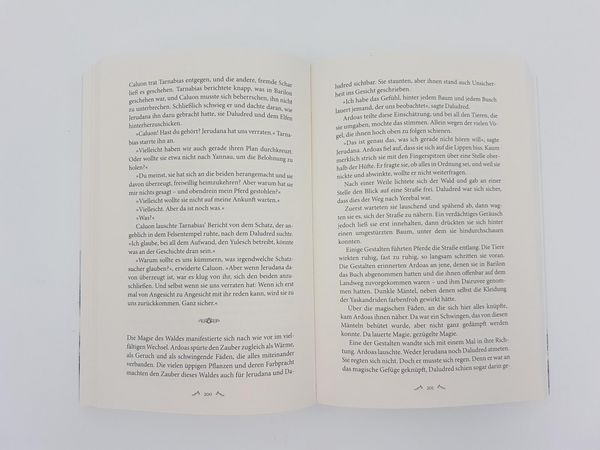 Produktbild: Das Erbe der Elfenmagierin