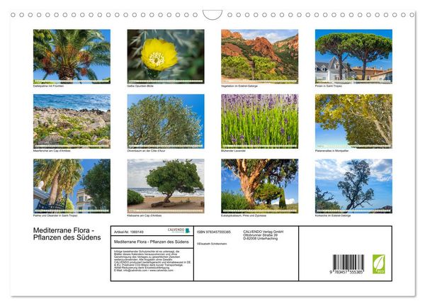 Produktbild: Mediterrane Flora - Pflanzen des S&uuml;dens (Wandkalender 2026 DIN A3 quer), CALVENDO Monatskalender