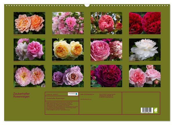 Produktbild: Zauberhafter Rosenreigen (Wandkalender 2027 DIN A2 quer), CALVENDO Monatskalender