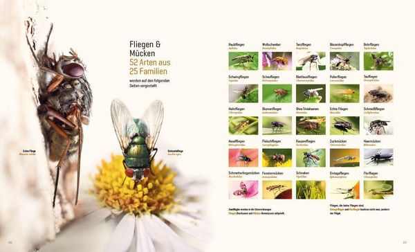 Produktbild: Mein Artenretter Garten
