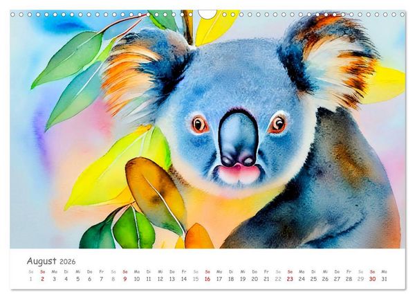 Produktbild: Der Koala 2026. Aschgrauer Beutelb&auml;r (Wandkalender 2026 DIN A3 quer), CALVENDO Monatskalender