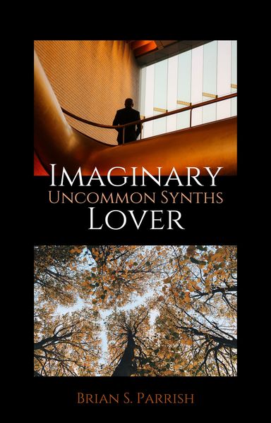 Produktbild: Imaginary Lover: Uncommon Synths