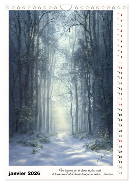 Produktbild: Chemins de fantaisie (Calendrier mural 2026 DIN A4 horizontal), CALVENDO calendrier mensuel