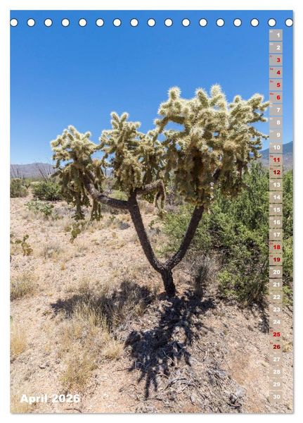 Produktbild: SAGUARO NATIONAL PARK W&uuml;stenimpressionen aus Arizona (Tischkalender 2026 DIN A5 hoch), CALVENDO Monatskalender
