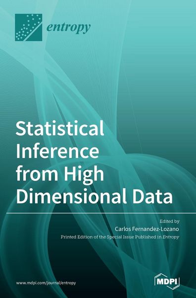 Produktbild: Statistical Inference from High Dimensional Data