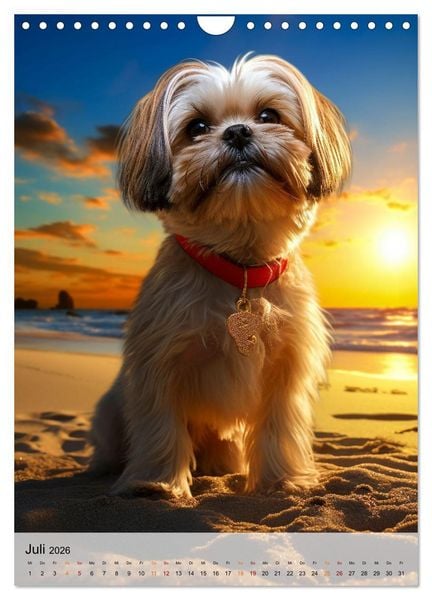 Produktbild: Shih Tzu - immer im Mittelpunkt (Wandkalender 2026 DIN A4 hoch), CALVENDO Monatskalender