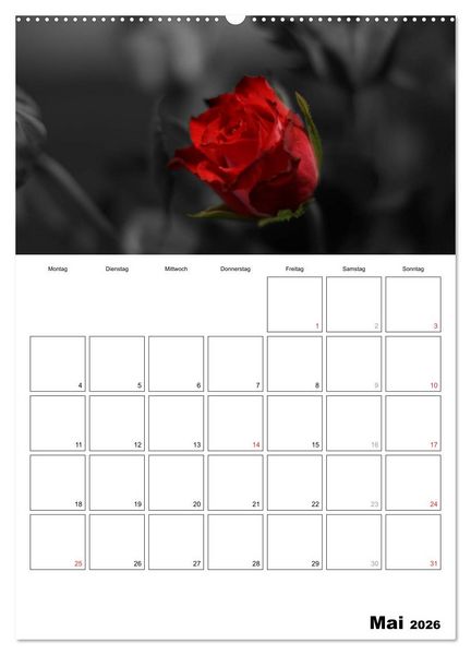 Produktbild: schwarz/wei&szlig; trifft farbe - DEIN TERMINKALENDER / Planer (hochwertiger Premium Wandkalender 2026 DIN A2 hoch), Kunstdruck in Hochglanz