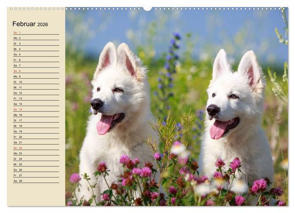 Produktbild: Beste Freunde. Bezaubernde Tierfreundschaften (hochwertiger Premium Wandkalender 2026 DIN A2 quer), Kunstdruck in Hochglanz