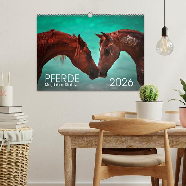 Produktbild: Pferde - Magdalena Strakova (Wandkalender 2026 DIN A3 quer), CALVENDO Monatskalender