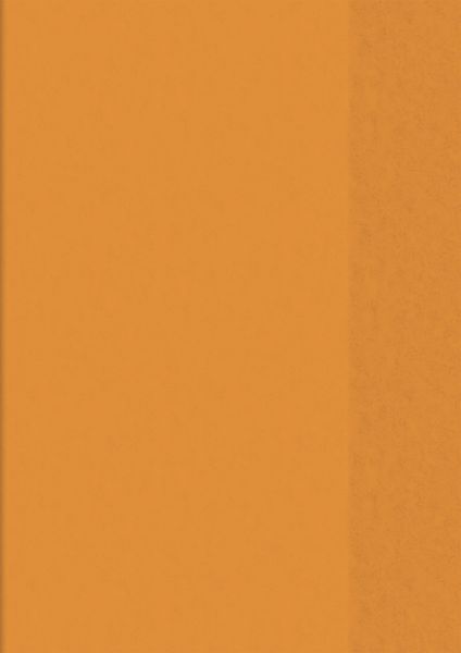 Produktbild: Brunnen Hefth&uuml;lle A5 tr orange Folie