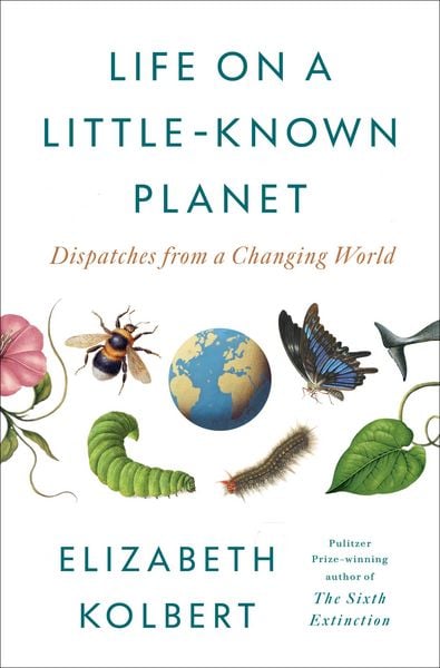 Produktbild: Life on a Little-Known Planet