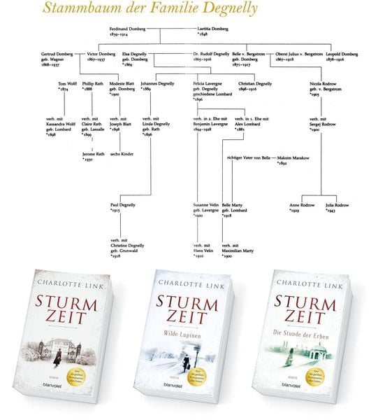 Produktbild: Sturmzeit - Die Stunde der Erben