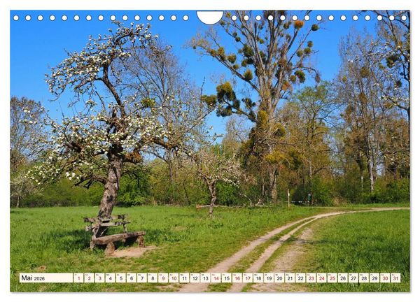 Produktbild: Vom Ried an die Bergstra&szlig;e, durch den Odenwald ins Neckartal (Wandkalender 2026 DIN A4 quer), CALVENDO Monatskalender