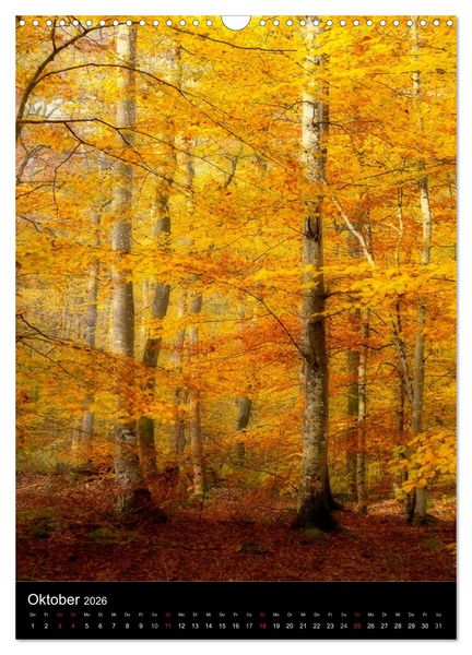 Produktbild: Orte der Ruhe (Wandkalender 2026 DIN A3 hoch), CALVENDO Monatskalender