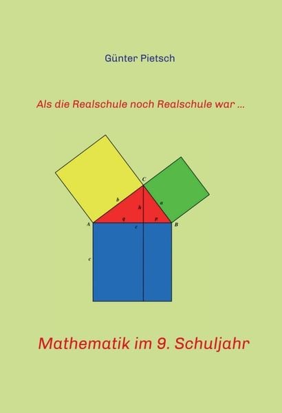 Produktbild: Mathematik im 9. Schuljahr