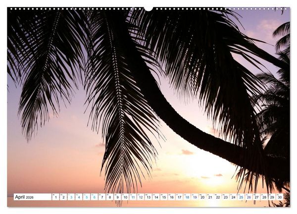 Produktbild: MALEDIVEN Wunderwelt (hochwertiger Premium Wandkalender 2026 DIN A2 quer), Kunstdruck in Hochglanz